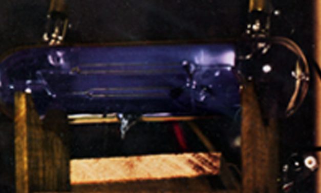 Η 1η φωτογραφική απεικόνιση του γαλάζιου χρώματος του διεγερμένου οργονικού πεδίου