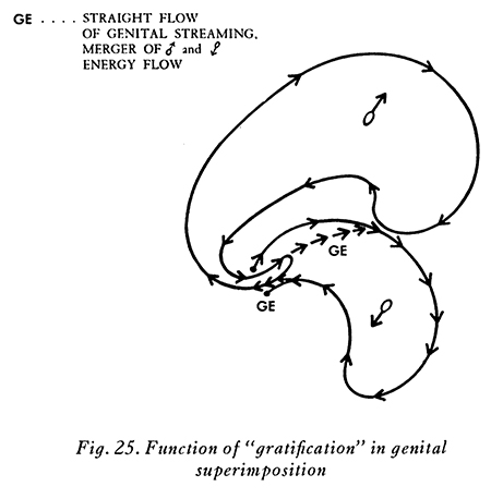 Superimposition Fig 025 ENG